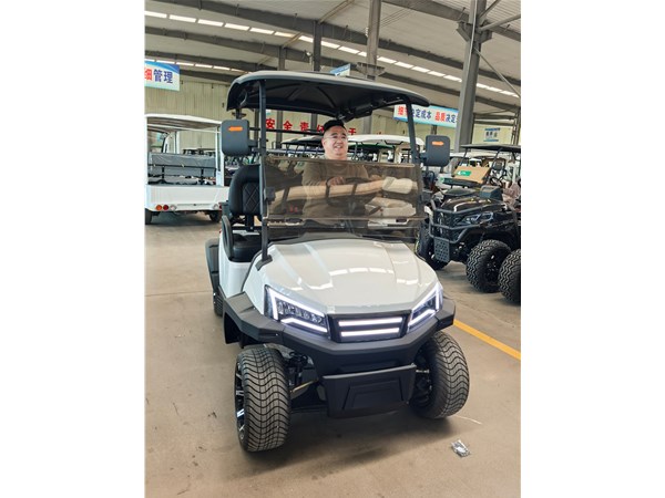 Golf carts made in China - going global